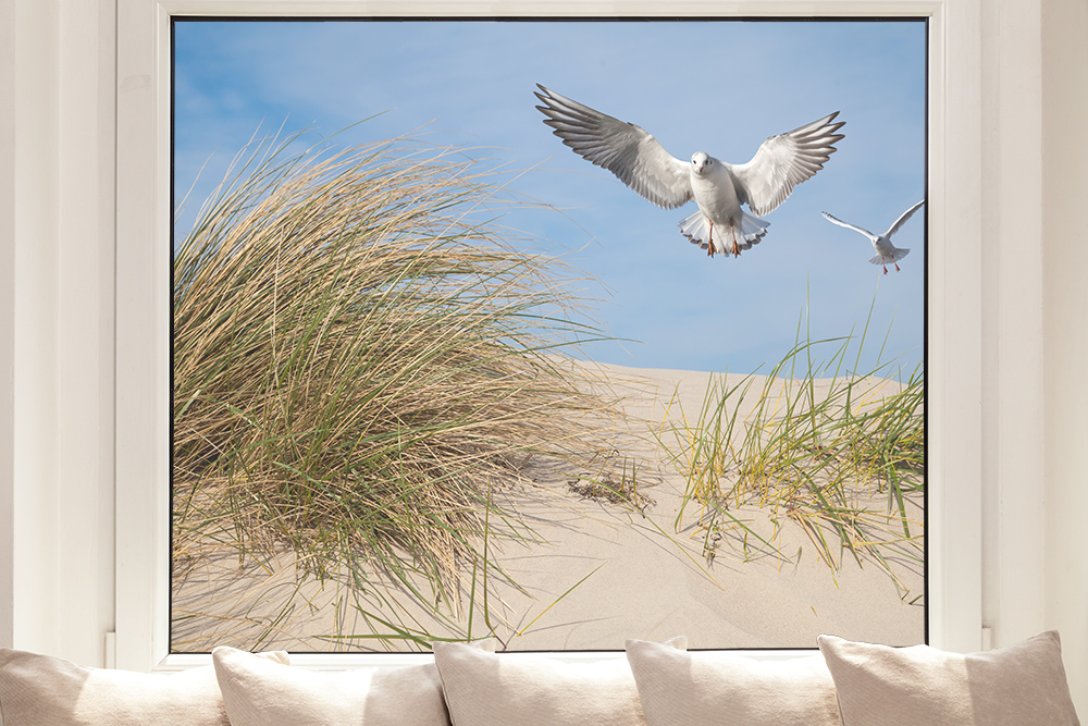 Autocollant de fenêtre - Les mouettes volent au-dessus d'une plage de dunes ensoleillées avec des herbes hautes