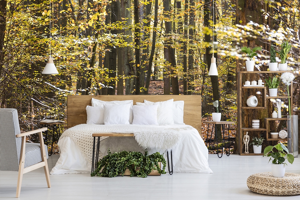 Papier peint photo - chambre à coucher avec papier peint photo nature d'une forêt, lit blanc, plantes et étagère en bois