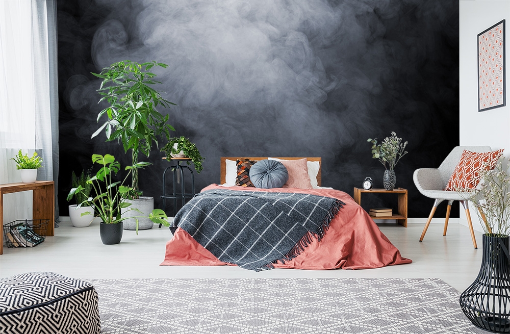 Papier peint photo - chambre à coucher avec des plantes, un mobilier moderne et un mur noir conçu avec un effet de brouillard dramatique