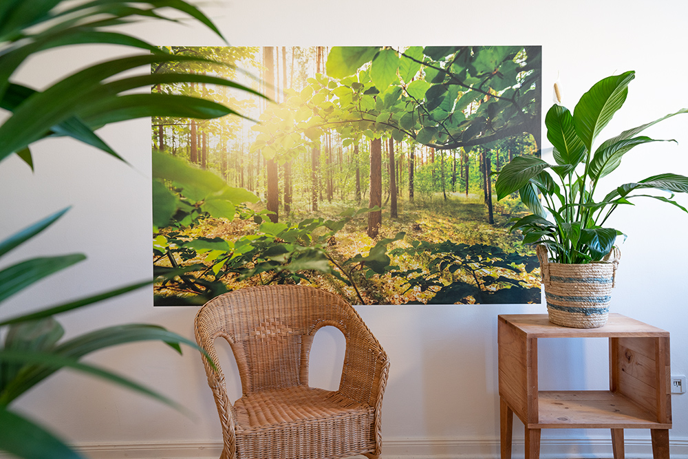Papier peint photo - Intérieur avec motif de forêt, chaise en rotin et plante