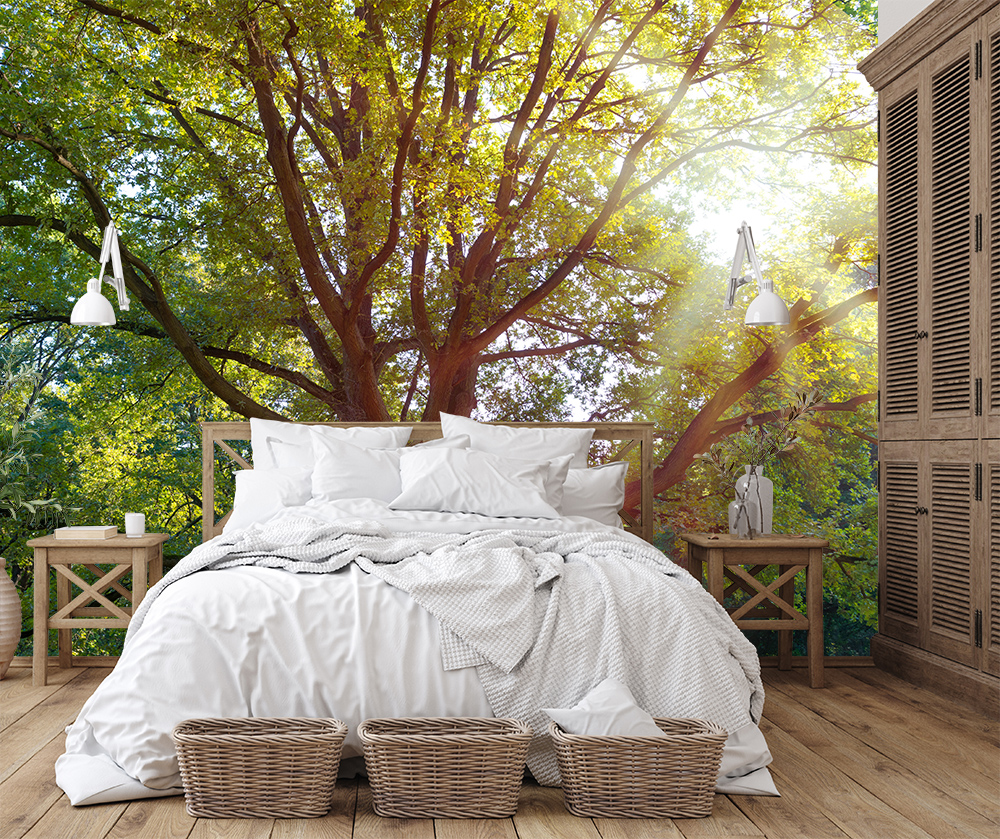 Papier peint photo - chambre avec papier peint arbre et lumière du soleil à travers les feuilles