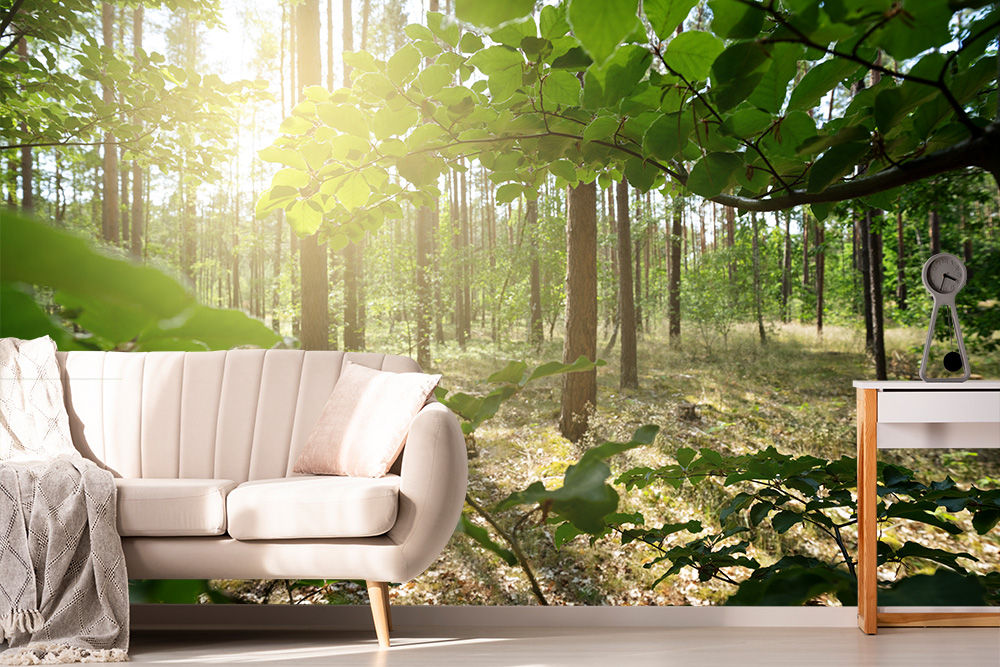 Papier peint photo - salon avec canapé et papier peint photo d'une forêt inondée de soleil en arrière-plan