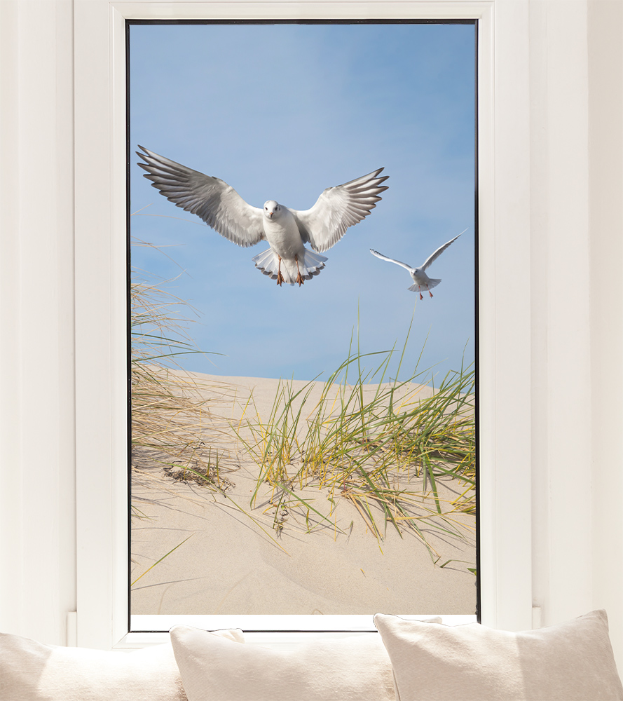 Film pour fenêtre - Mouettes au-dessus des dunes de la mer Baltique
