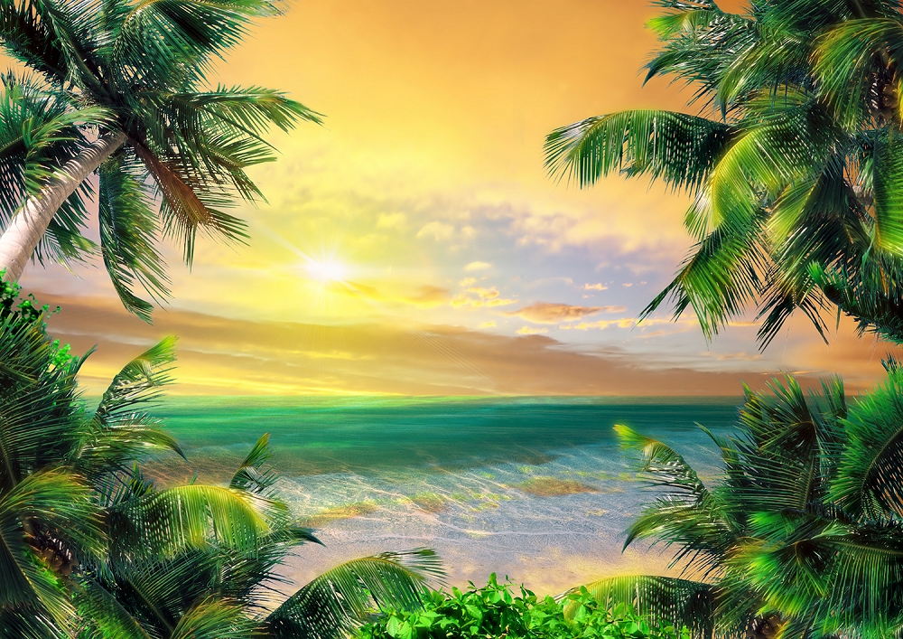 Papier peint photo - Plage tropicale au coucher du soleil avec palmiers et mer calme