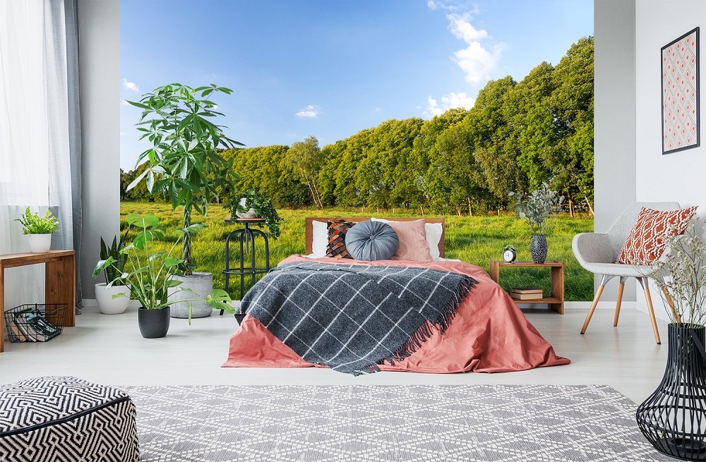 Papier peint photo - Chambre moderne avec des plantes et un grand papier peint photo représentant un paysage vert.