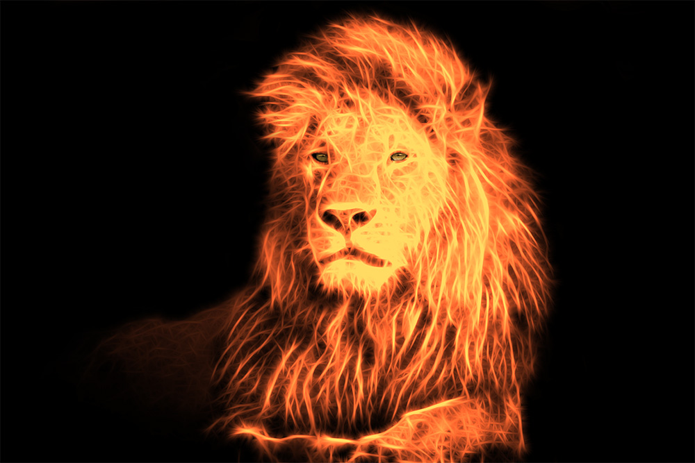 Papier peint photo - lion incandescent en orange vif sur fond noir