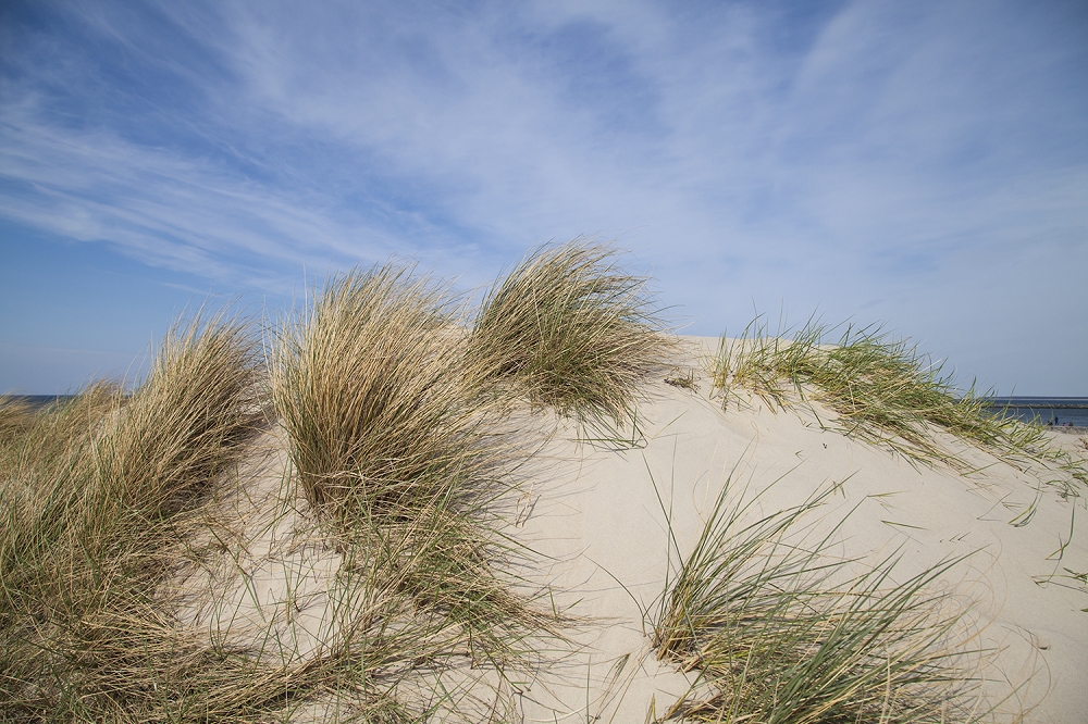 Papier peint photo - Paysage côtier naturel avec dunes de sable et herbe sur fond de ciel bleu