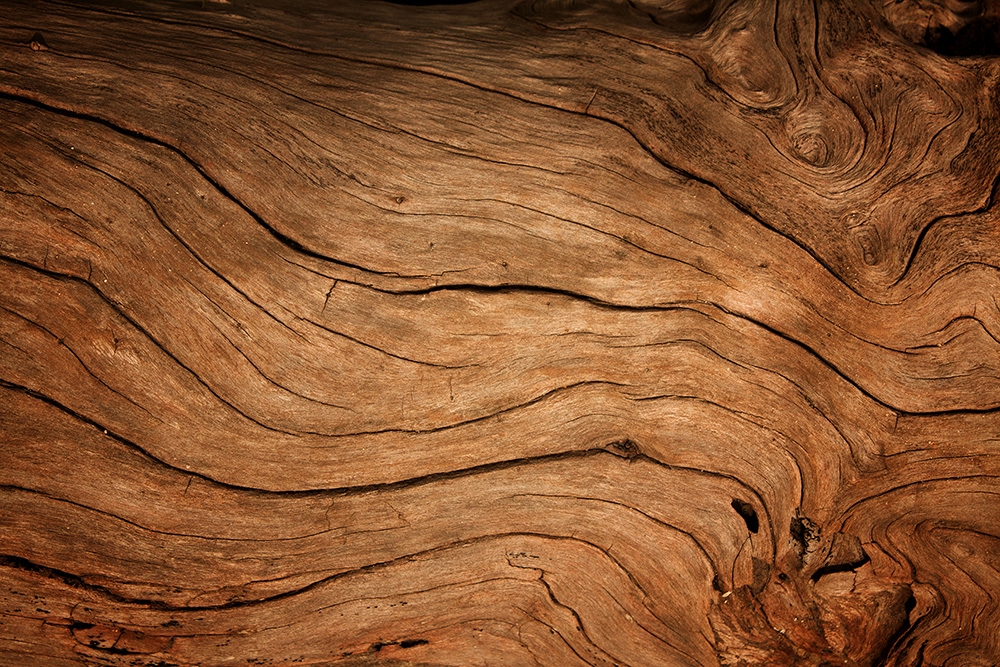 Papier peint photo - Détail d'une surface en bois naturel avec des veines courbes et des couleurs chaudes et brunes