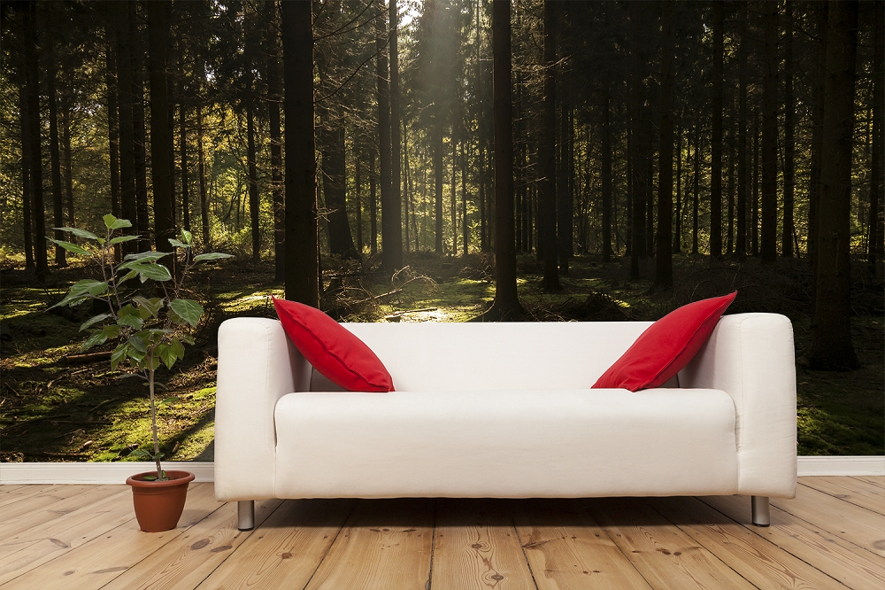 Papier peint photo - Un salon confortable avec un papier peint photo de forêt, un canapé blanc et des coussins rouges