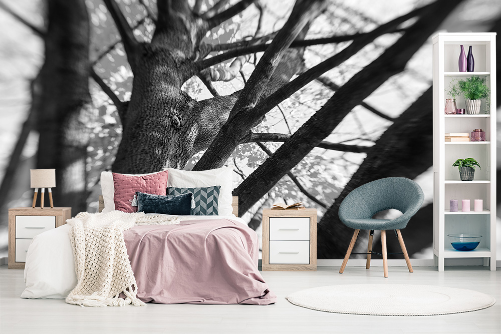 Papier peint photo - chambre à coucher aux couleurs douces avec un impressionnant motif d'arbre en noir et blanc sur le mur